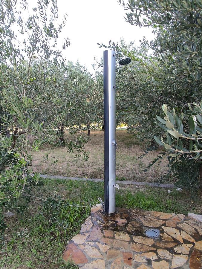 Apartment Arba 1 With Heated Pool Rab Town Exterior photo